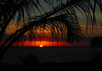 小学六知六会一做具体内容