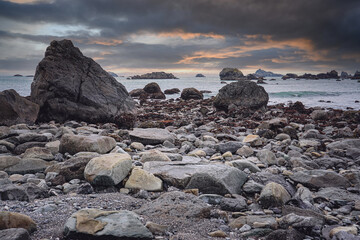 有开古玩店吗？