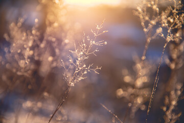 旅行的意义是什么