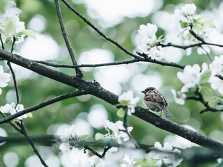 描写美丽的瀑布的诗句