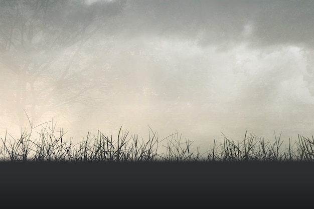 摸底考试是期中考试吗