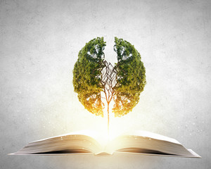 怎样发现孩子的兴趣爱好