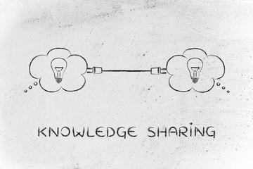小学六知六会一做具体内容